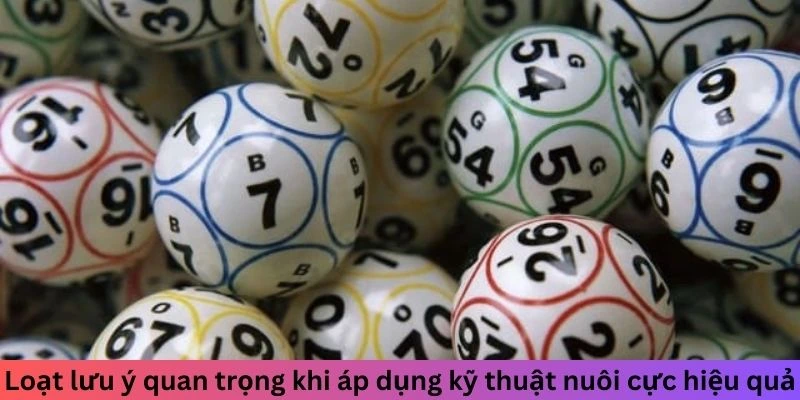 Loạt lưu ý quan trọng khi áp dụng kỹ thuật nuôi cực hiệu quả
